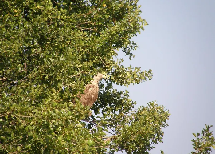 Holiday home Mobile Im Mit Seezugang