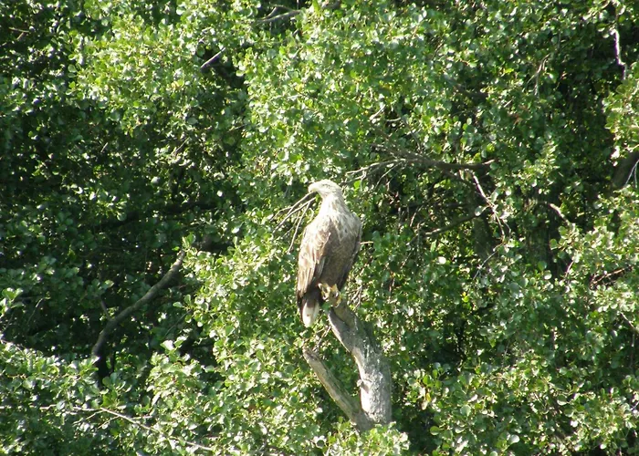 Mobile Im Mit Seezugang * Dabel