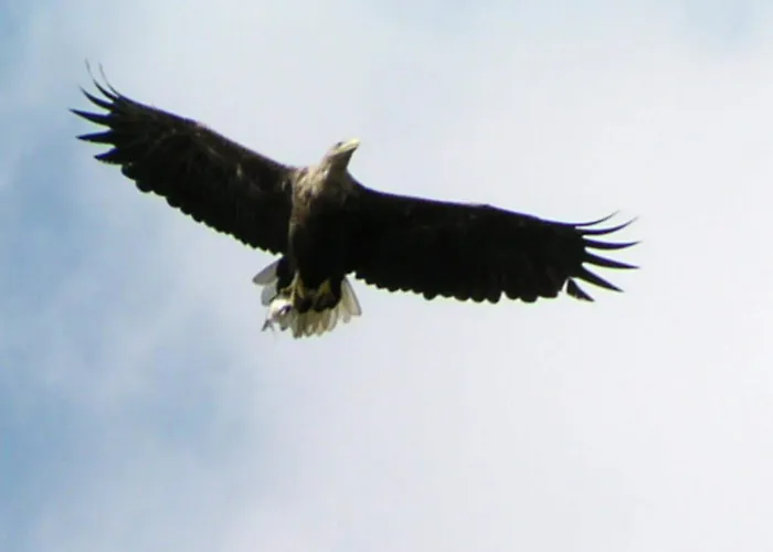 Mobile Im Mit Seezugang Hébergement de vacances *